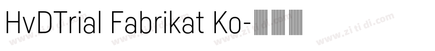 HvDTrial Fabrikat Ko字体转换